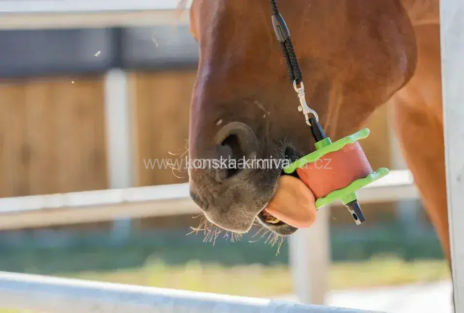 Lolly-Lick lízátko pro koně - různé příchutě
